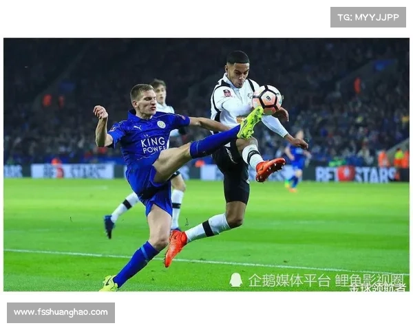 如何获取加的夫城足球队最新联赛动态与赛事信息